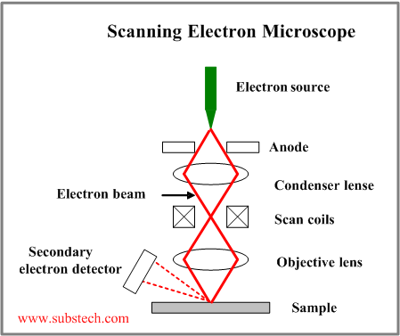 electron microscope.png